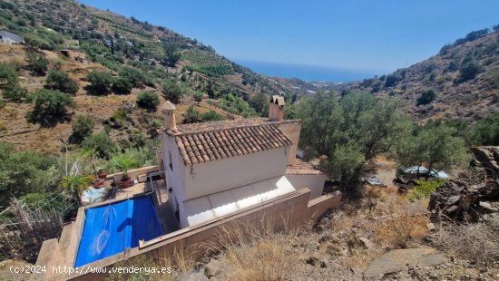  Villa en venta en Sayalonga (Málaga) 