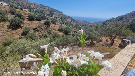 Villa en venta en Sayalonga (Málaga)