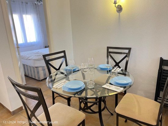 Apartamento en alquiler en Oliva (Valencia)