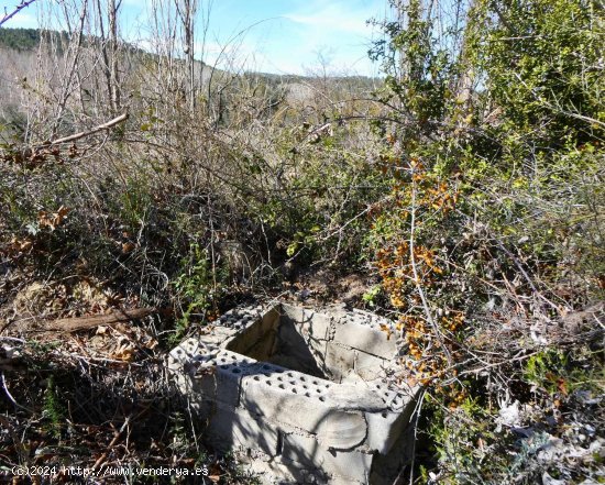 Finca en venta en Valderrobres (Teruel)