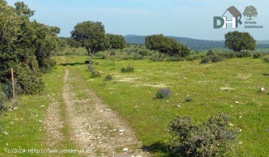 Solar en venta en Cáceres (Cáceres)