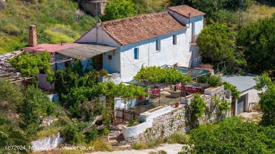  Finca en venta en Mijas (Málaga) 