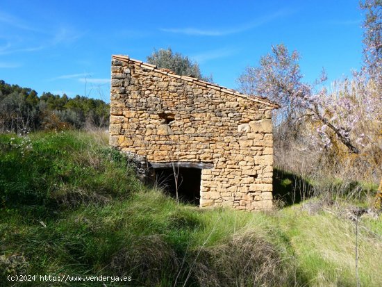  Finca en venta en La Fresneda (Teruel) 