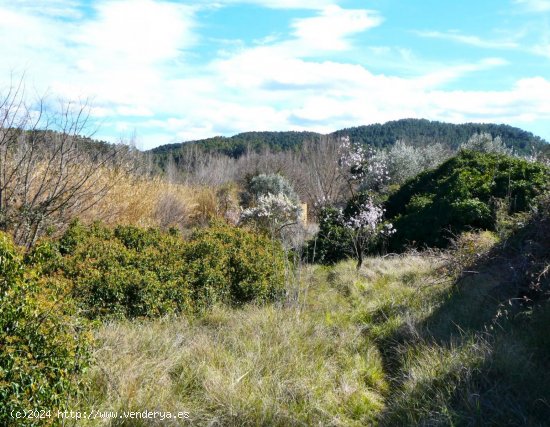 Finca en venta en La Fresneda (Teruel)