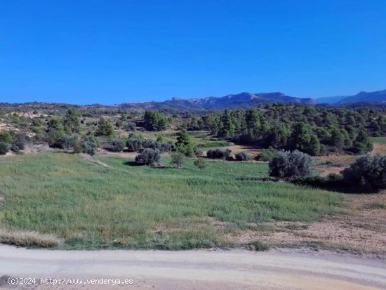 Finca en venta en Valderrobres (Teruel)