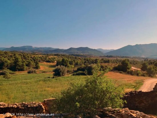 Finca en venta en Valderrobres (Teruel)