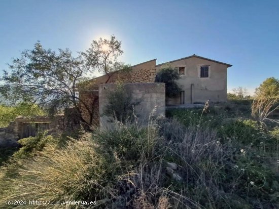 Finca en venta en Valderrobres (Teruel)