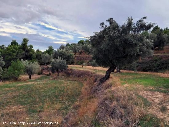 Finca en venta en Valderrobres (Teruel)