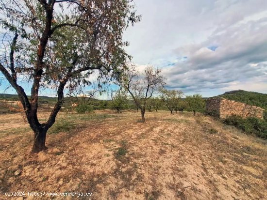 Finca en venta en Valderrobres (Teruel)