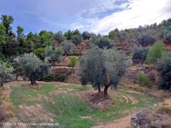 Finca en venta en Valderrobres (Teruel)