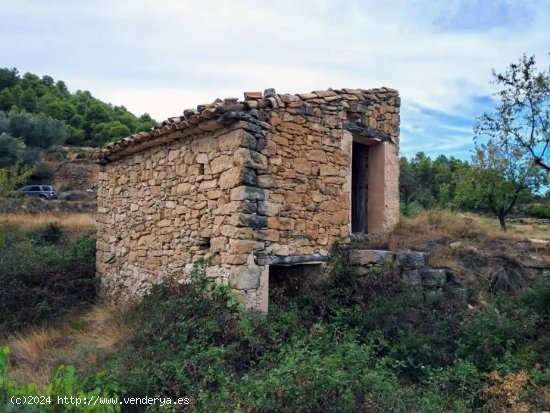 Finca en venta en Valderrobres (Teruel)