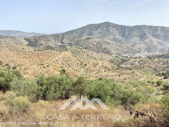 Finca en venta en Arenas (Málaga)