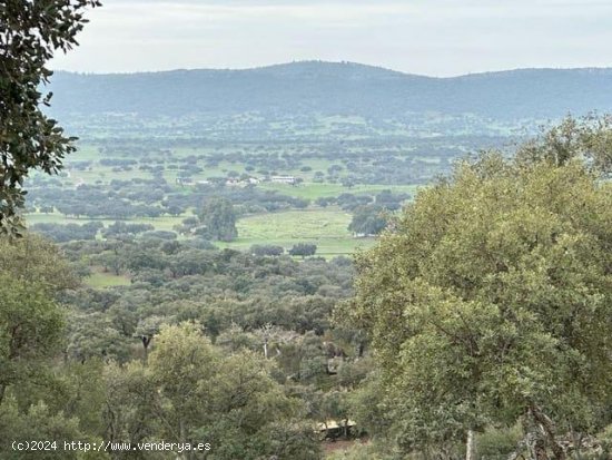  Finca en venta en San Vicente de Alcántara (Badajoz) 