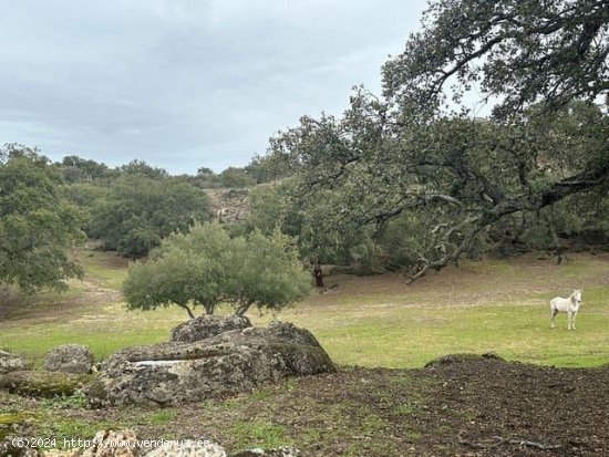 Finca en venta en San Vicente de Alcántara (Badajoz)