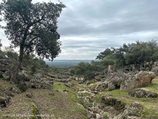 Finca en venta en San Vicente de Alcántara (Badajoz)