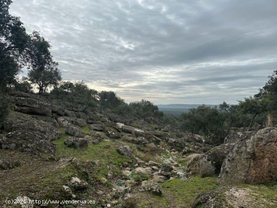 Finca en venta en San Vicente de Alcántara (Badajoz)