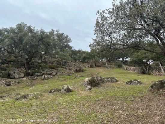 Finca en venta en San Vicente de Alcántara (Badajoz)