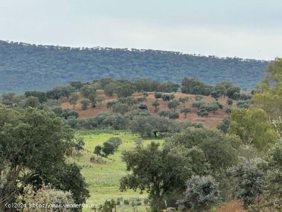  Finca en venta en La Codosera (Badajoz) 