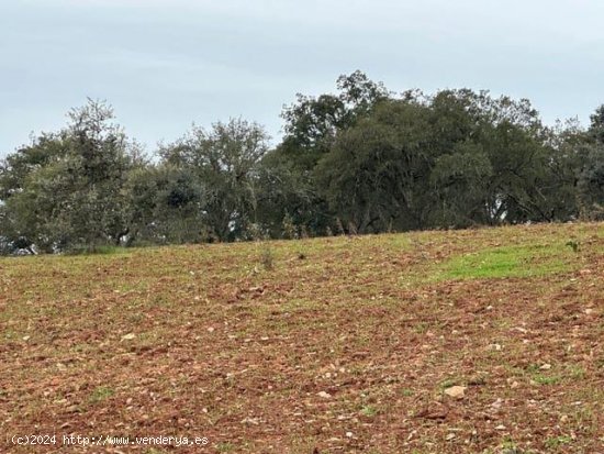 Finca en venta en La Codosera (Badajoz)