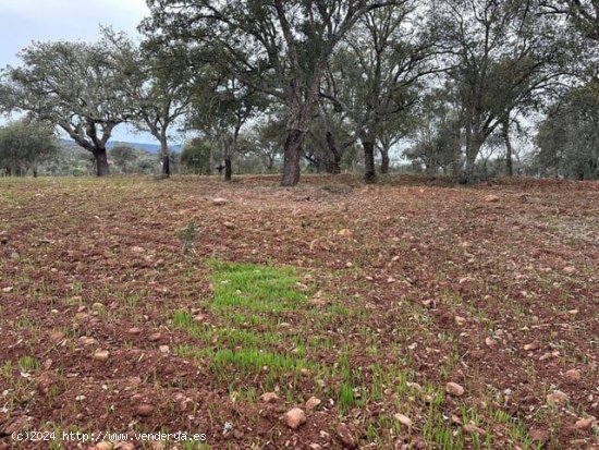 Finca en venta en La Codosera (Badajoz)