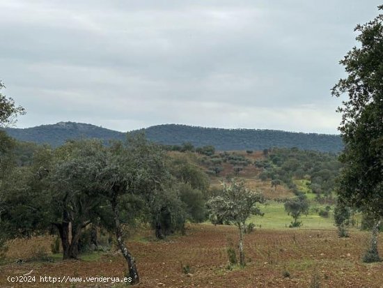 Finca en venta en La Codosera (Badajoz)