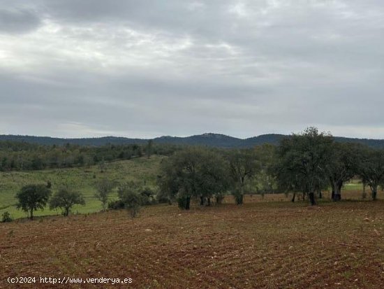 Finca en venta en La Codosera (Badajoz)