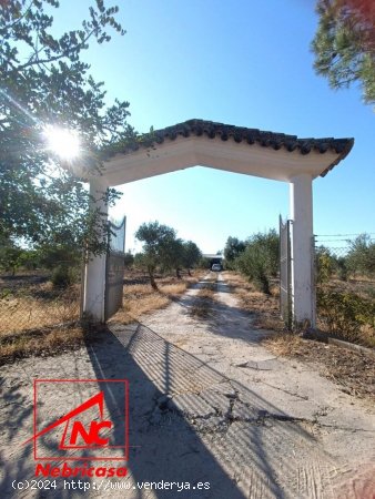  Parcela en venta en Lebrija (Sevilla) 