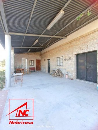 Parcela en venta en Lebrija (Sevilla)