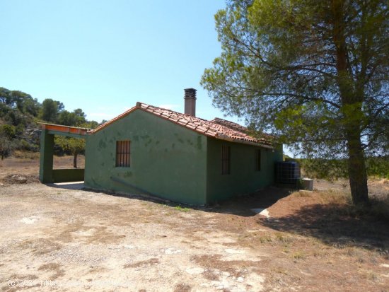 Finca en venta en Caspe (Zaragoza)