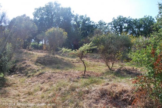 Suelo rústico en venta  en Sant Celoni - Barcelona