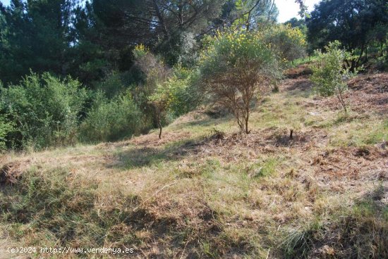 Suelo rústico en venta  en Sant Celoni - Barcelona