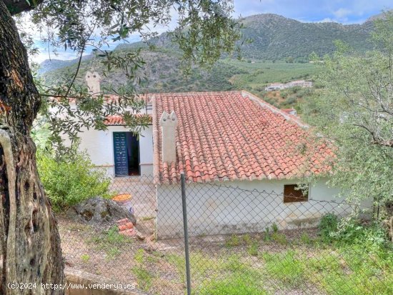 Finca en venta en Periana (Málaga)