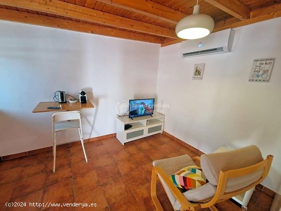 Apartamento en alquiler en Arona (Tenerife)