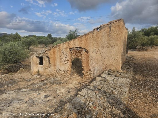 Finca en venta en El Perelló (Tarragona)