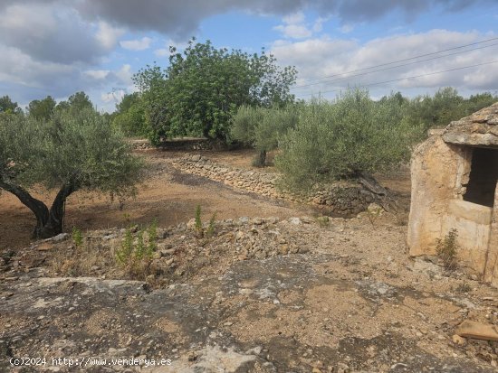 Finca en venta en El Perelló (Tarragona)