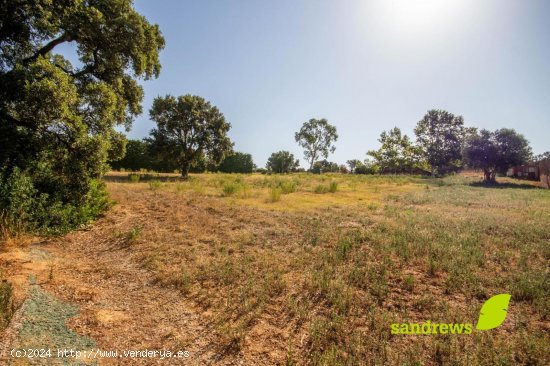 Solar en venta en Peralada (Girona)