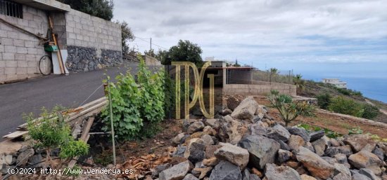 Finca en venta en Guía de Isora (Tenerife)