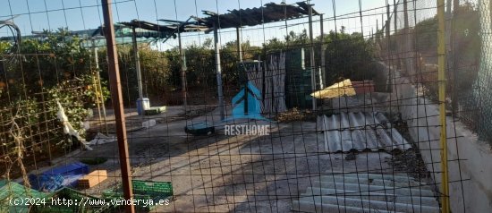 Parcela en venta en Puçol (Valencia)