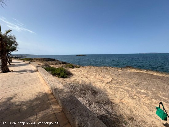 Piso en alquiler en Palma de Mallorca (Baleares)