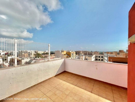 Apartamento en venta en Oliva (Valencia)