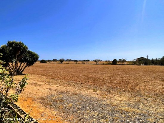 Finca en venta en Campos (Baleares)