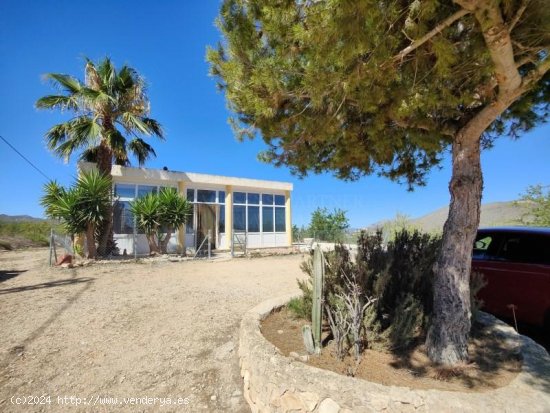  Finca en venta en Hondón de las Nieves (Alicante) 