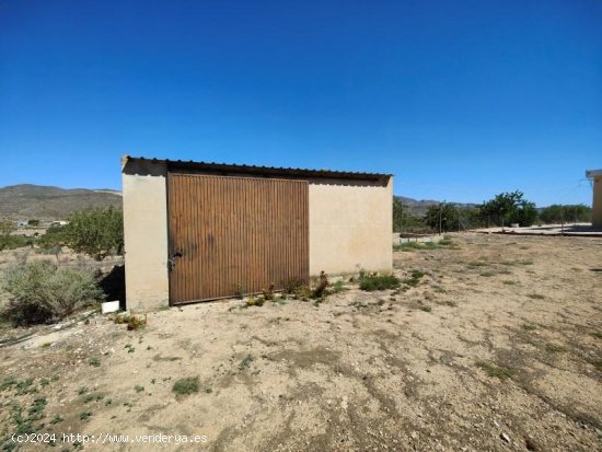 Finca en venta en Hondón de las Nieves (Alicante)