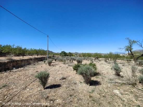 Finca en venta en Hondón de las Nieves (Alicante)