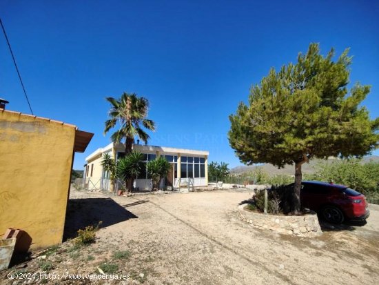 Finca en venta en Hondón de las Nieves (Alicante)