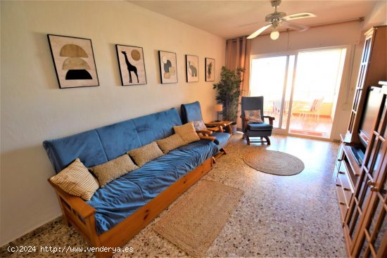  Apartamento en alquiler en Guardamar del Segura (Alicante) 