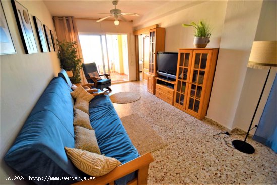 Apartamento en alquiler en Guardamar del Segura (Alicante)