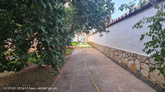 Chalet en venta en Vélez-Málaga (Málaga)