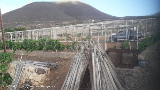 Casa en venta en Granadilla de Abona (Tenerife)