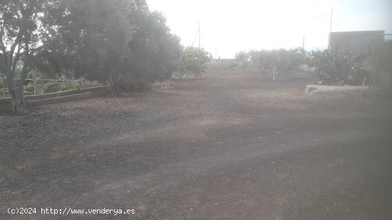 Casa en venta en Granadilla de Abona (Tenerife)